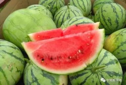 今日吃瓜51cg,揭秘娱乐圈最新热点事件